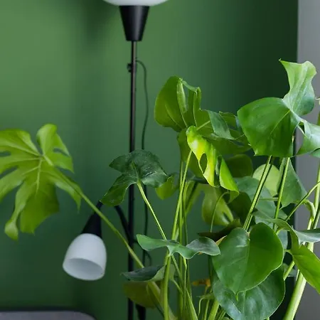 Dolinka Batuty By Renters Appartamento Varsavia