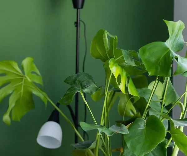 Dolinka Batuty By Renters Apartment Warsaw